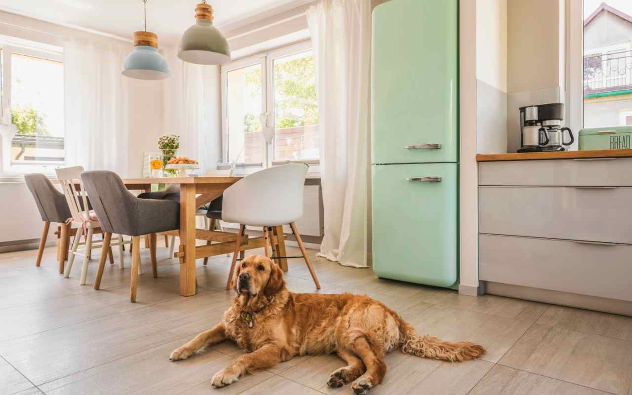 4. Integrarea elementelor vintage în diferite camere